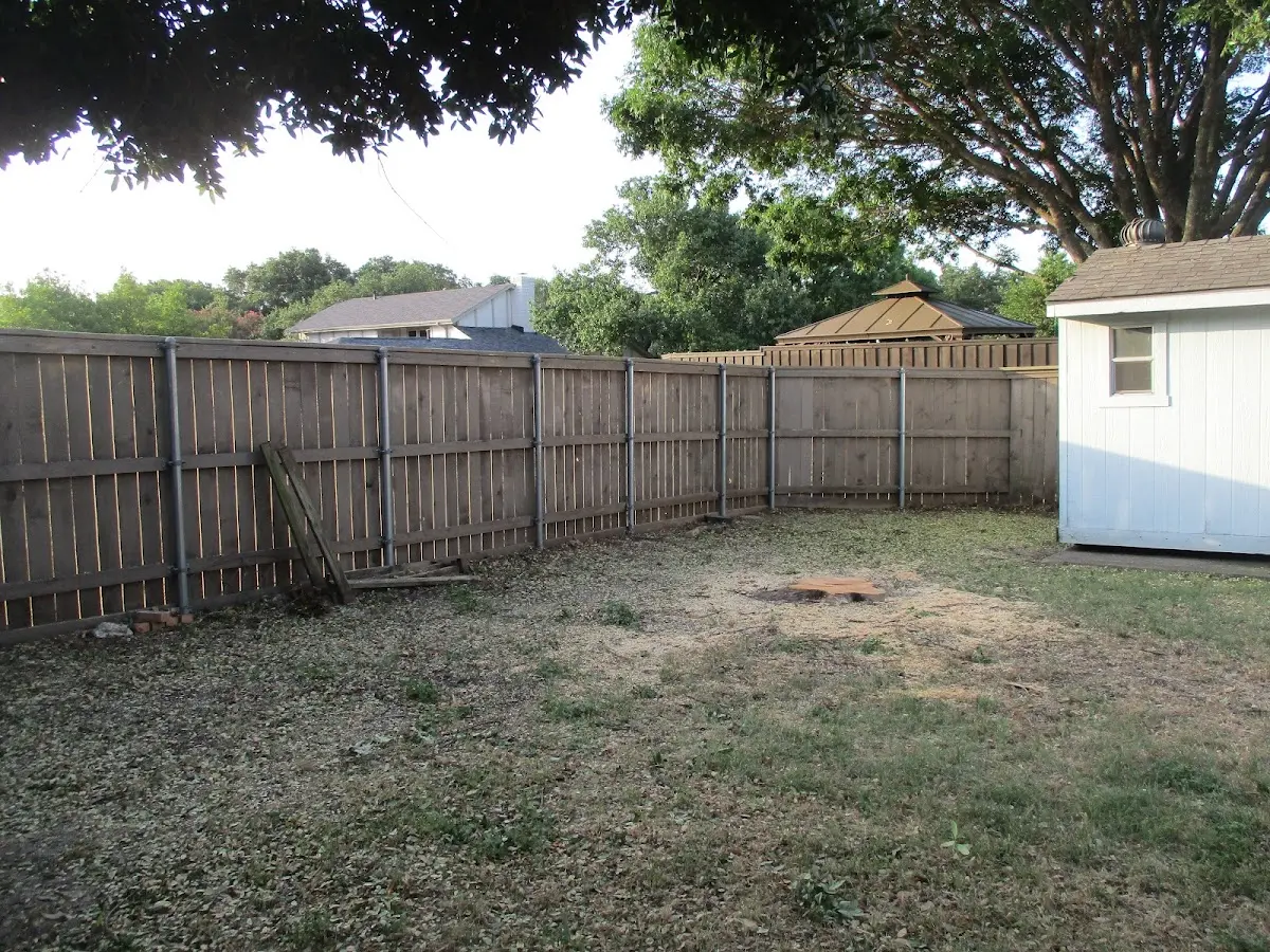 Cleared yard after professional tree removal in West Pawlet